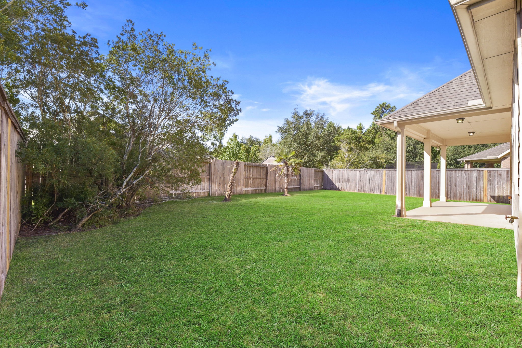 39 Butternut Grove Place Tomball, TX 77375 - Photo 35 of 35 a view of a house with backyard and a tree