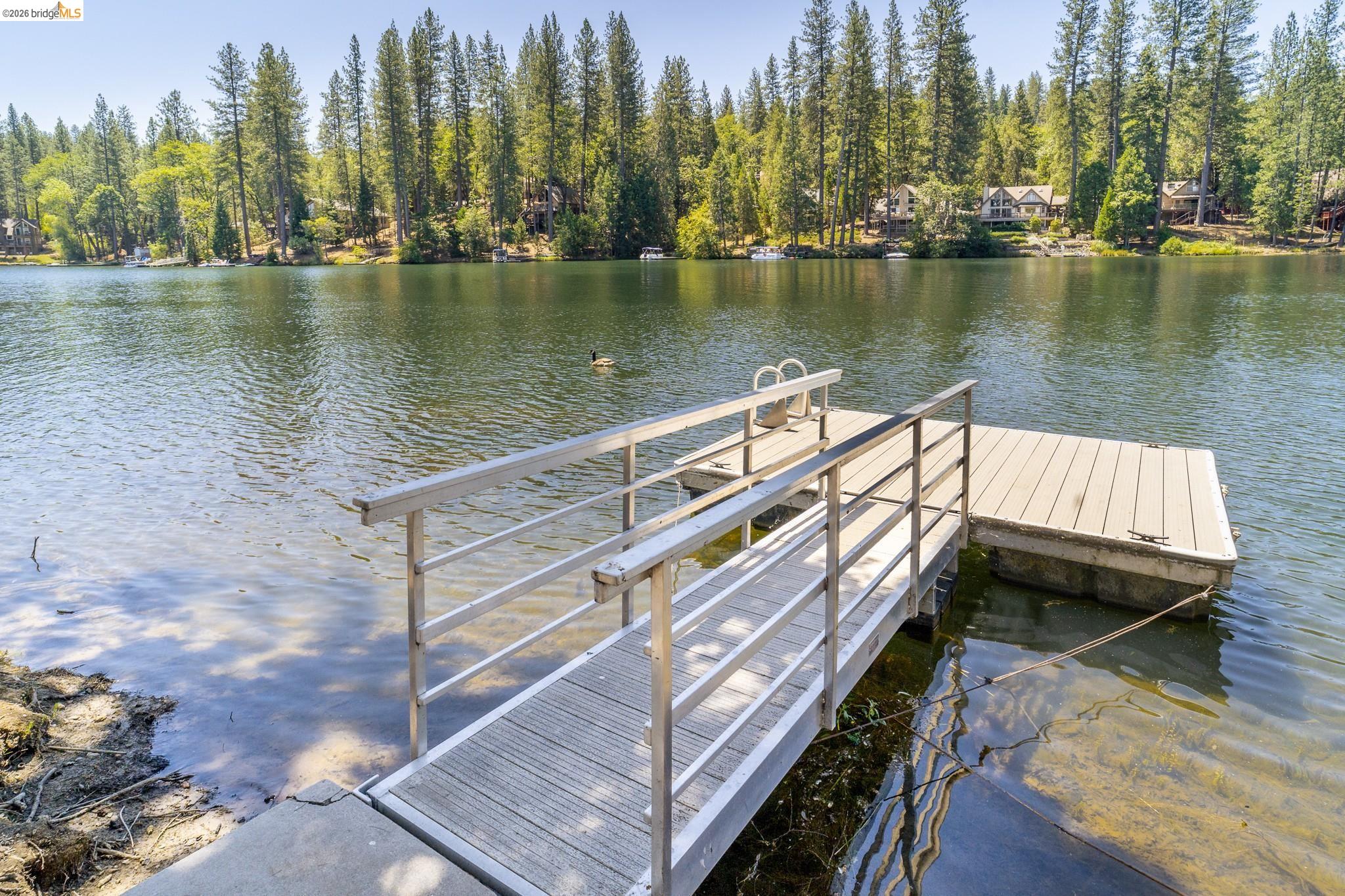 Dock with aluminum railings extending onto a calm lake