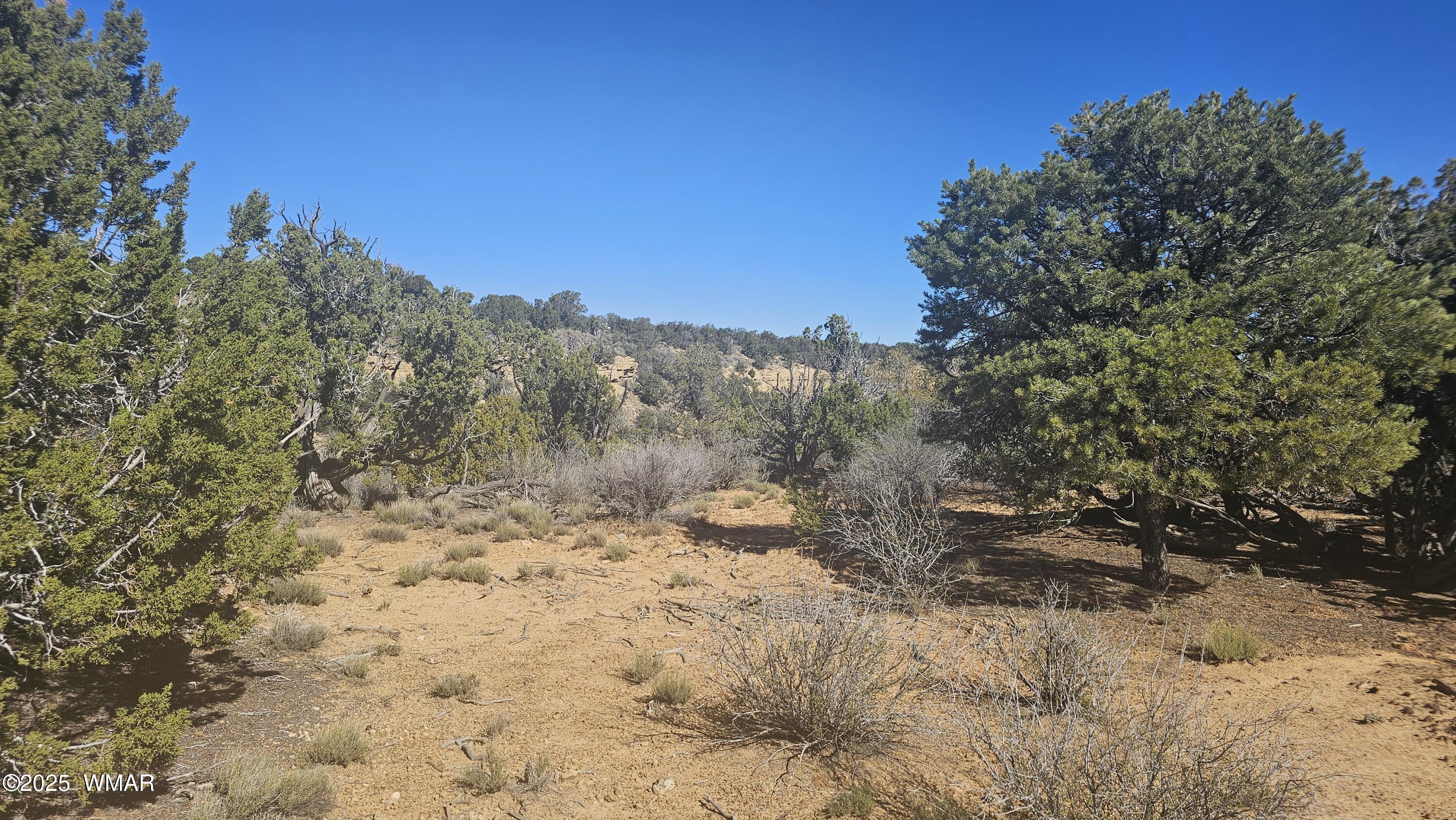 4 County Road Concho, AZ 85924 - Photo 26 of 28