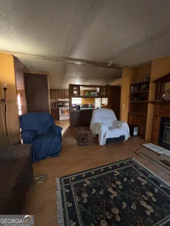 a living room with furniture and a rug