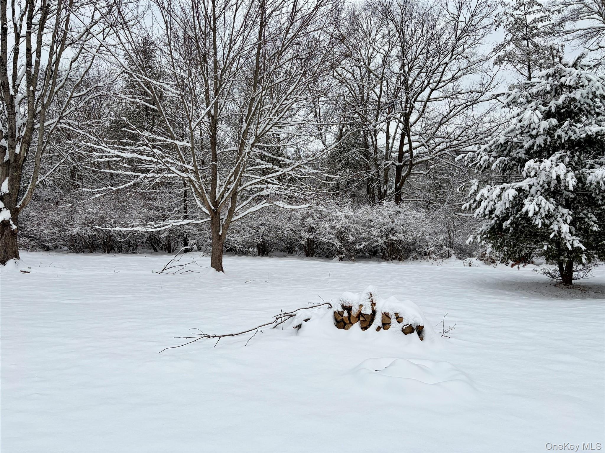 156 Bloom Road Barryville, NY 12719 - Photo 31 of 31