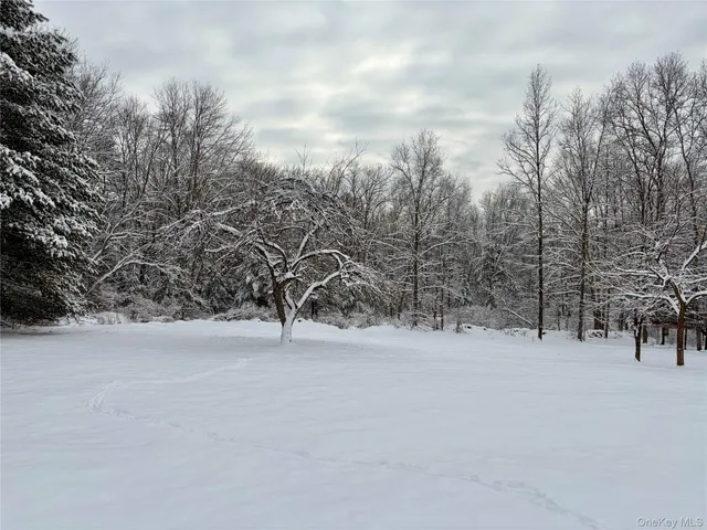 $1,950 | 156 Bloom Road, Barryville, NY 12719