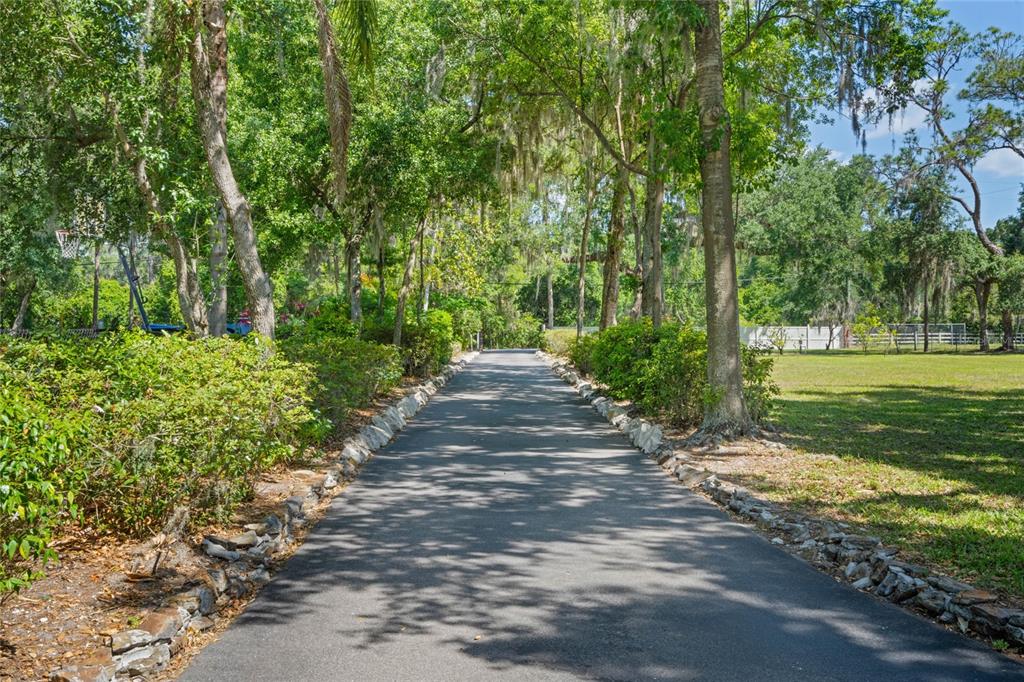 13830 Lake Mary Jane Road Orlando, FL 32832 - Photo 72 of 99