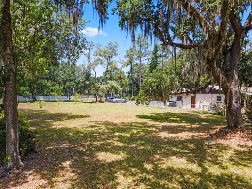 13830 Lake Mary Jane Road Orlando, FL 32832 - Photo 74 of 99 a view of a yard with a tree