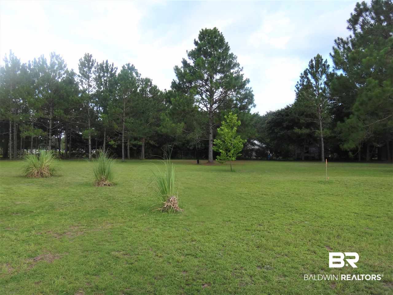 19345 3 Rivers Road Seminole, AL 36574 - Photo 3 of 8