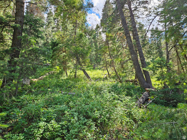 30 East Pine Creek Road South, Unit 30 Mount Pleasant, UT 84647 - Photo 10 of 14 View of woods