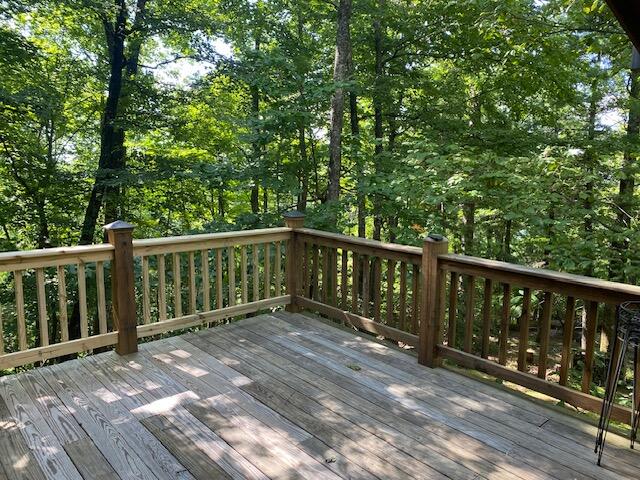 152 Chestnut Ridge Trail Fancy Gap, VA 24328 - Photo 11 of 51 Gallery Image 11