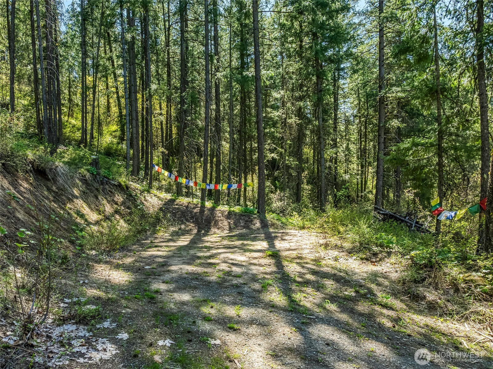 a view of outdoor space with deck and tree