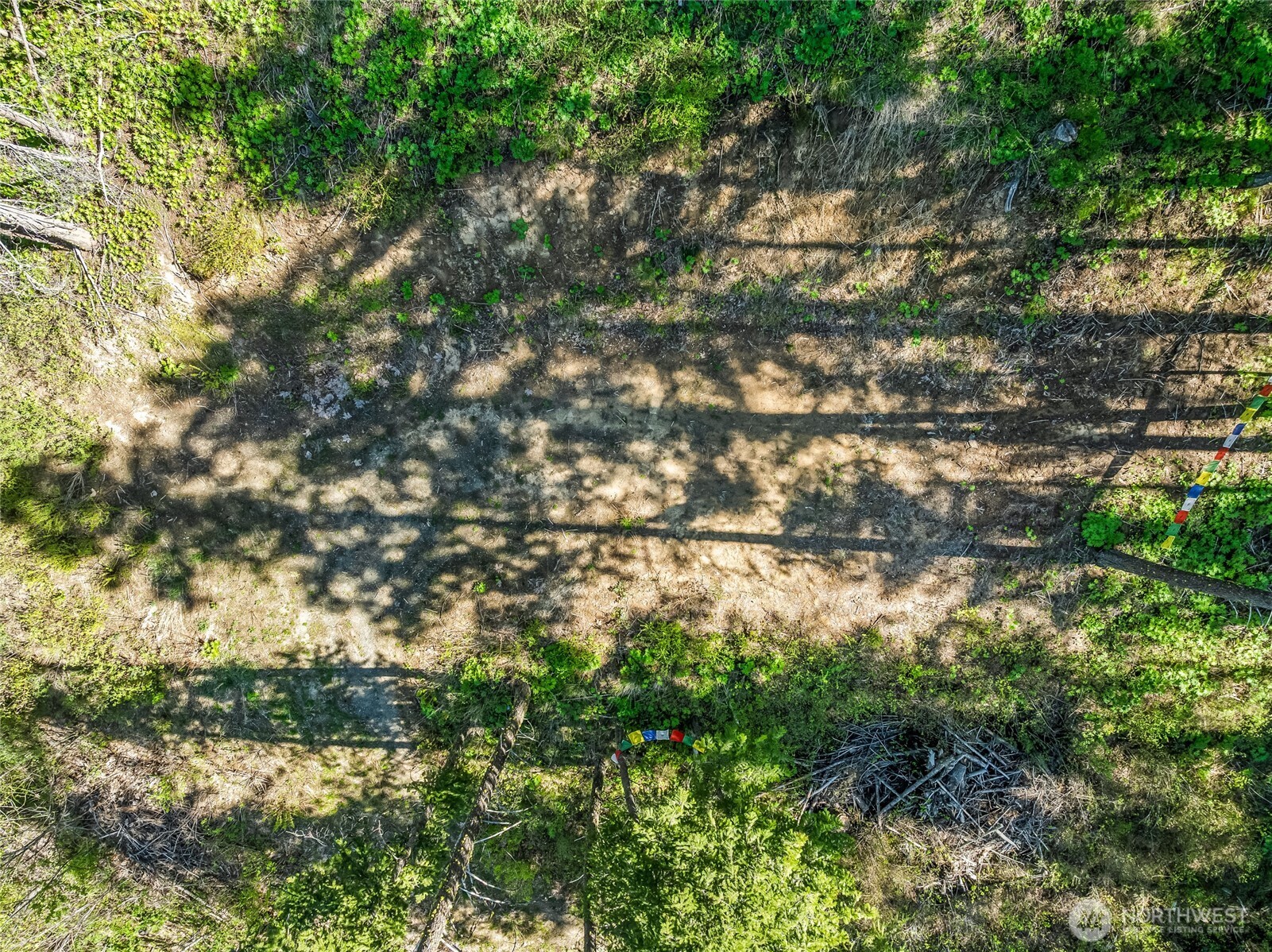 8325 Taber Road Cashmere, WA 98815 - Photo 2 of 13 a view of a tree in a yard
