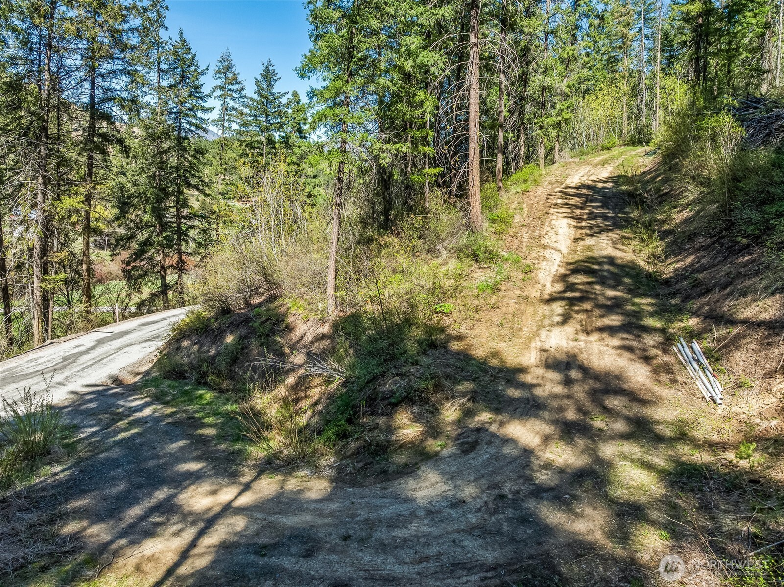 8325 Taber Road Cashmere, WA 98815 - Photo 4 of 13 a view of a forest