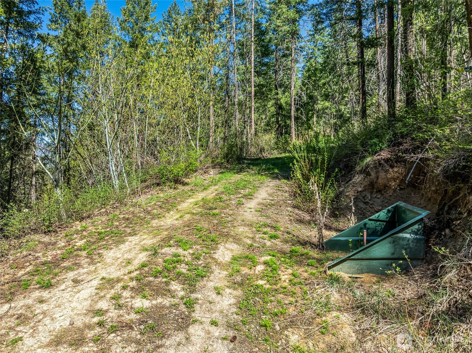8325 Taber Road Cashmere, WA 98815 - Photo 5 of 13 a view of outdoor space and a yard