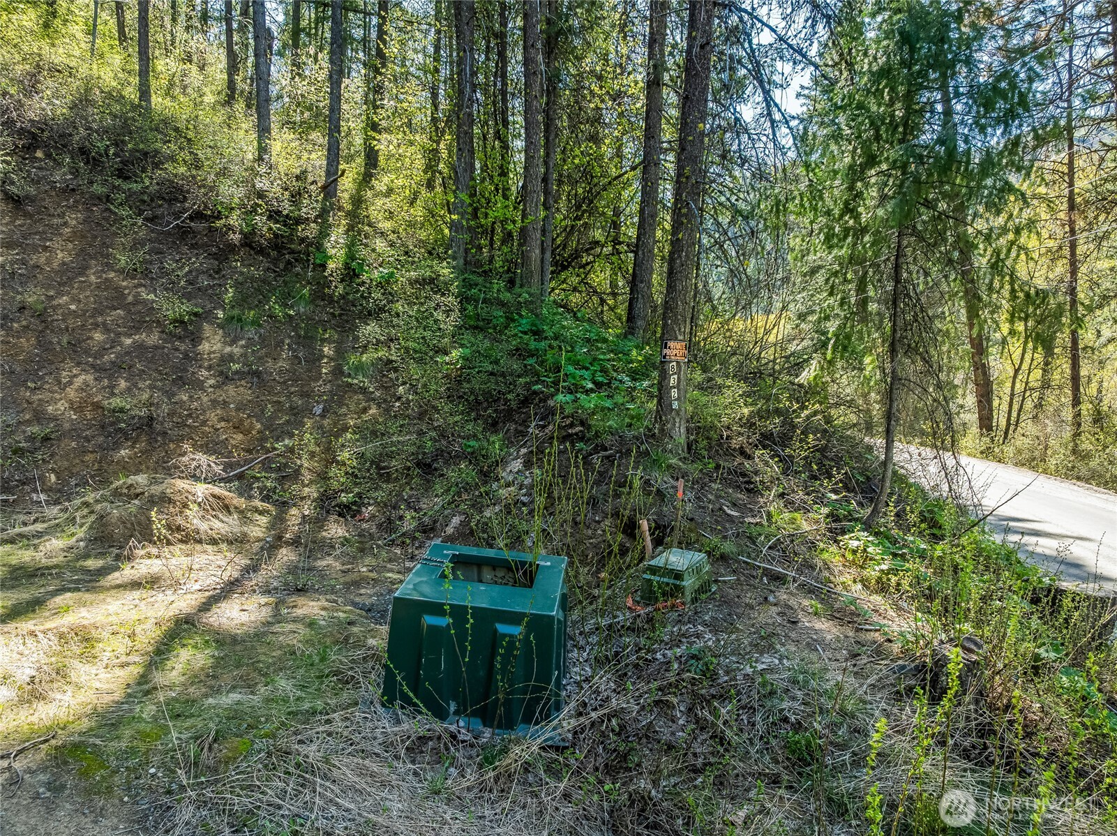 8325 Taber Road Cashmere, WA 98815 - Photo 6 of 13 a view of a garden