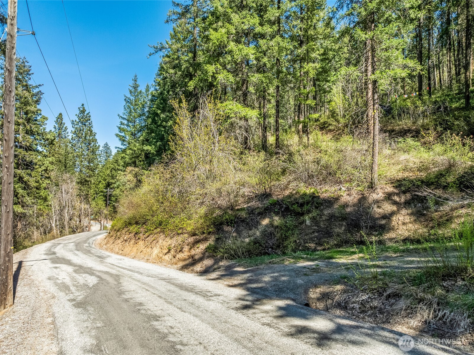 8325 Taber Road Cashmere, WA 98815 - Photo 7 of 13 a view of outdoor space and yard