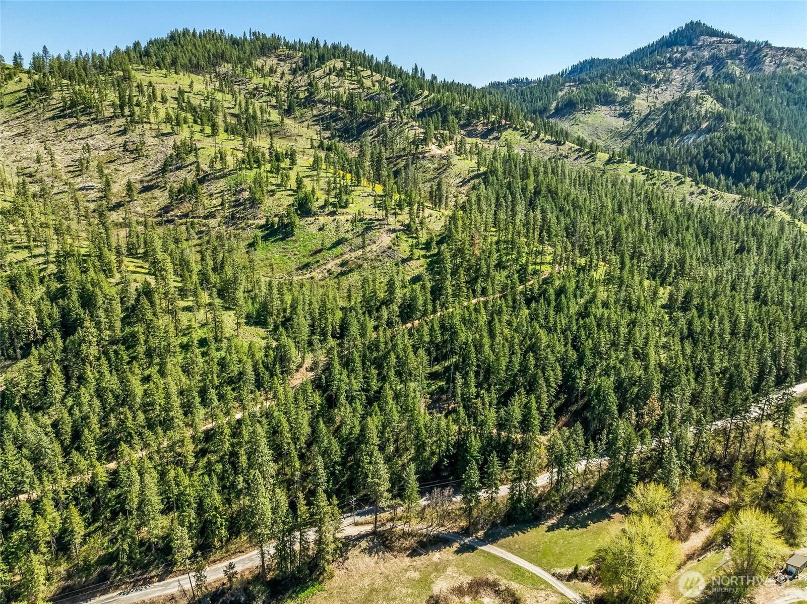 8325 Taber Road Cashmere, WA 98815 - Photo 9 of 13 a view of a bunch of trees and bushes