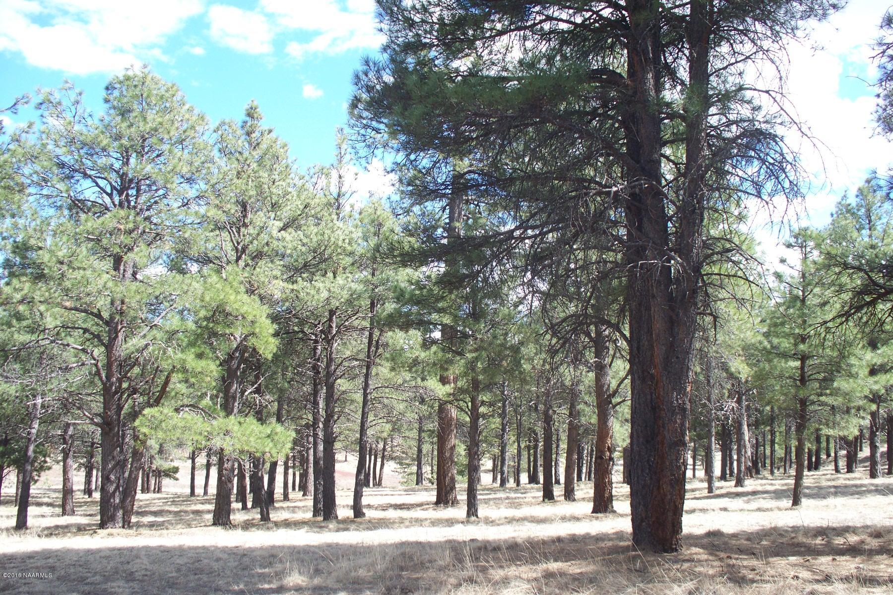 1883 Homestead Road Flagstaff, AZ 86005 - Photo 3 of 3 5acre3