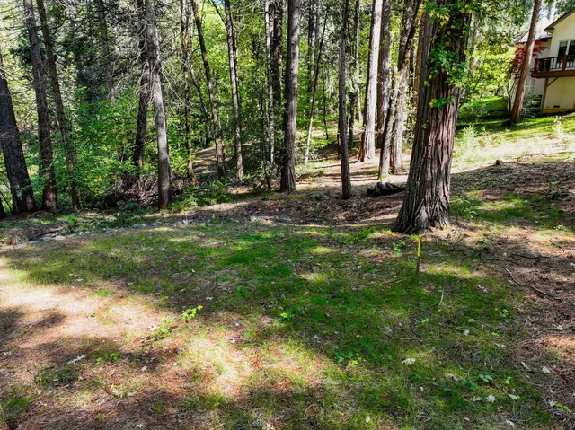 a view of outdoor space and yard