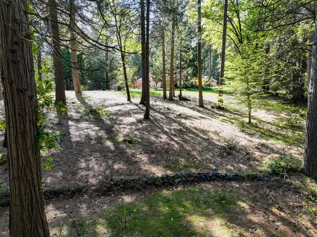 a view of outdoor space with trees