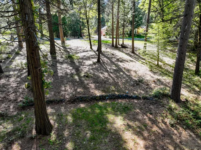 a view of outdoor space with trees