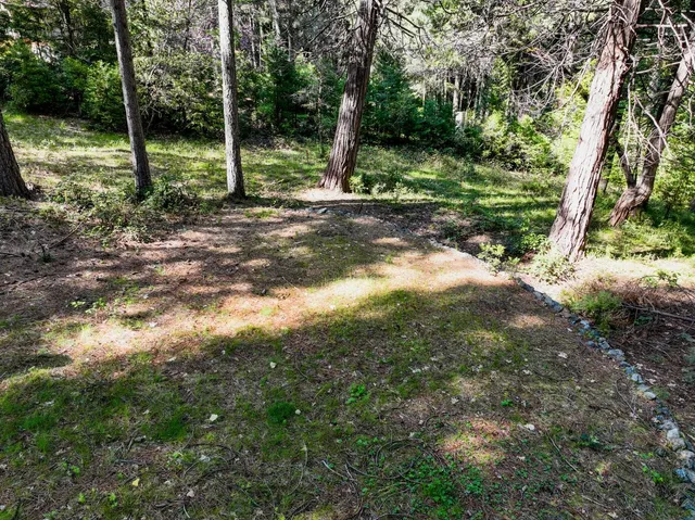 a backyard of a house with lots of green space