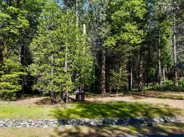 a view of swimming pool with a tree