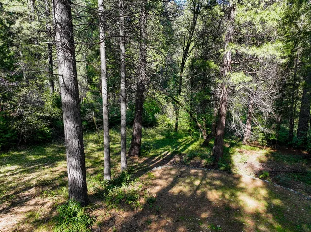 a view of outdoor space with deck and yard