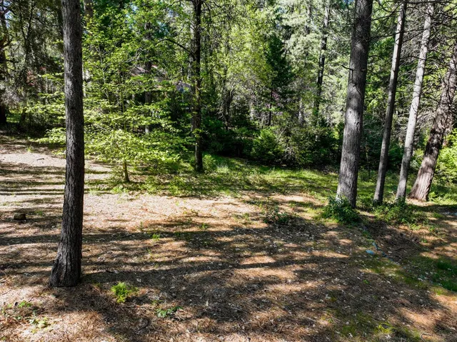 a view of a yard with a tree