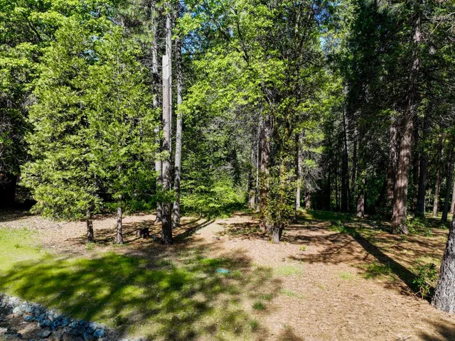 a view of outdoor space with deck and trees