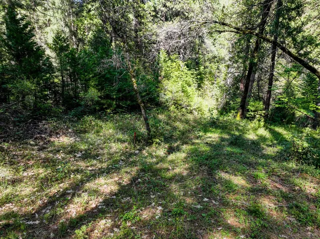 a view of backyard with green space