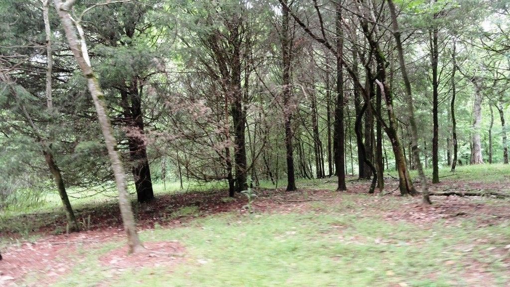 1202 Columbus Road Delano, TN 37325 - Photo 29 of 31 Gallery Image 29
