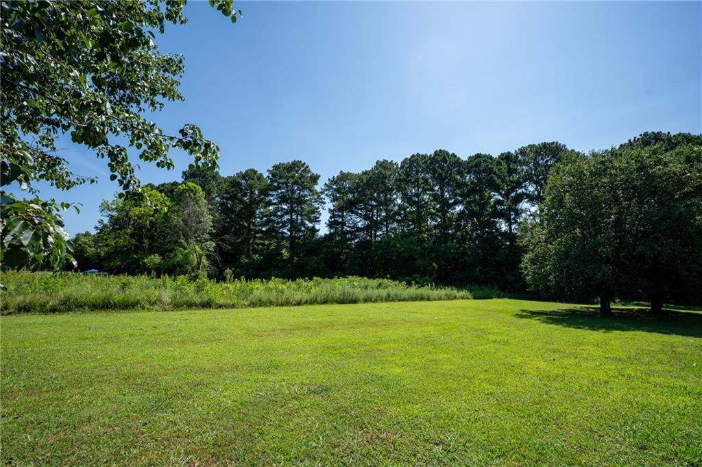 0 Mauldin Road Northwest Calhoun, GA 30701 - Photo 12 of 13 a view of a field with a tree in the background
