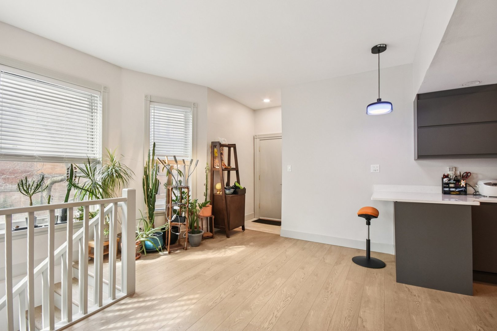 744 West California Terrace, Unit 1 Chicago, IL 60657 - Photo 4 of 18