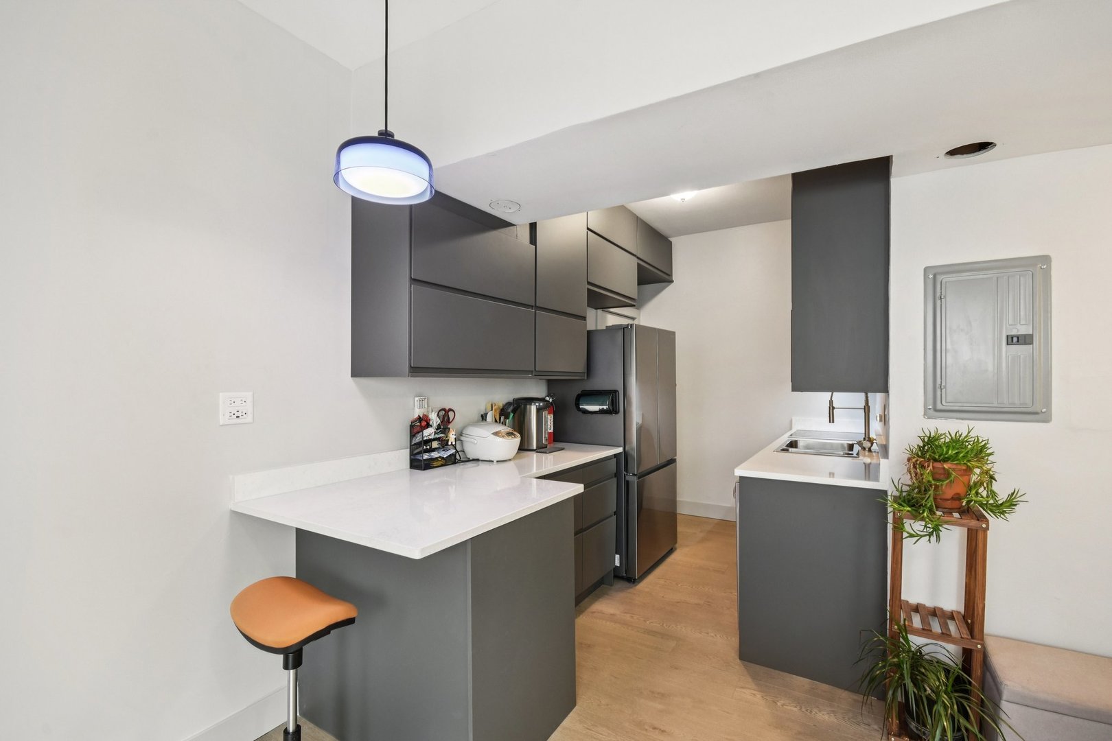 744 West California Terrace, Unit 1 Chicago, IL 60657 - Photo 6 of 18