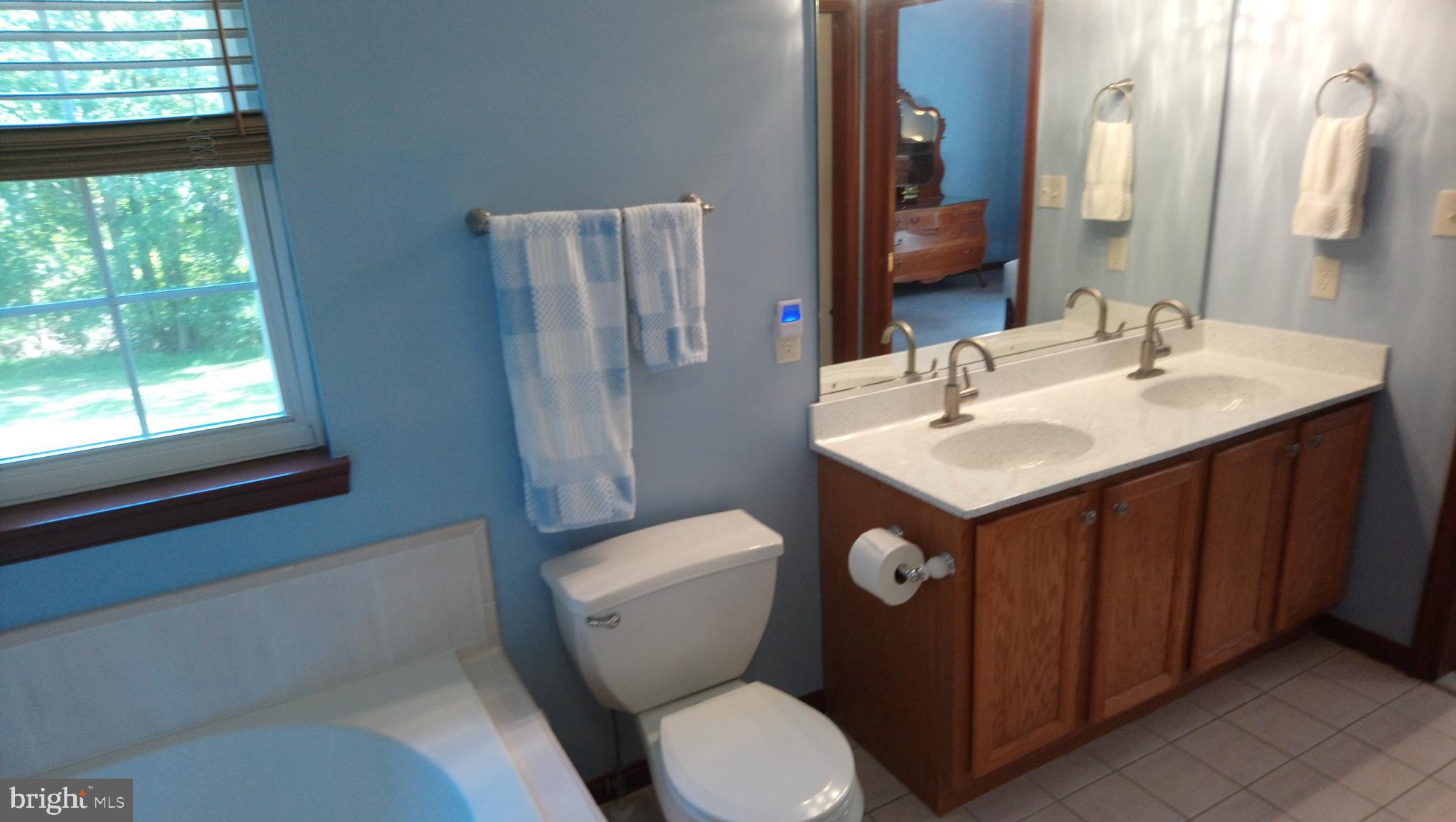 8795 Lowell Road Pomfret, MD 20675 - Photo 25 of 65 Master bath