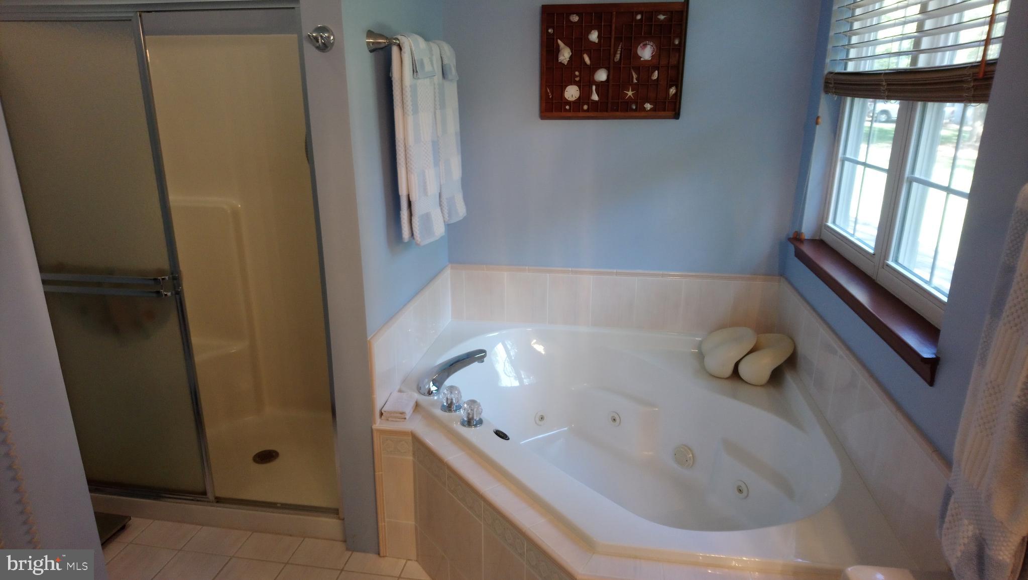 8795 Lowell Road Pomfret, MD 20675 - Photo 26 of 65 Jetted tub and sep shower in master bath