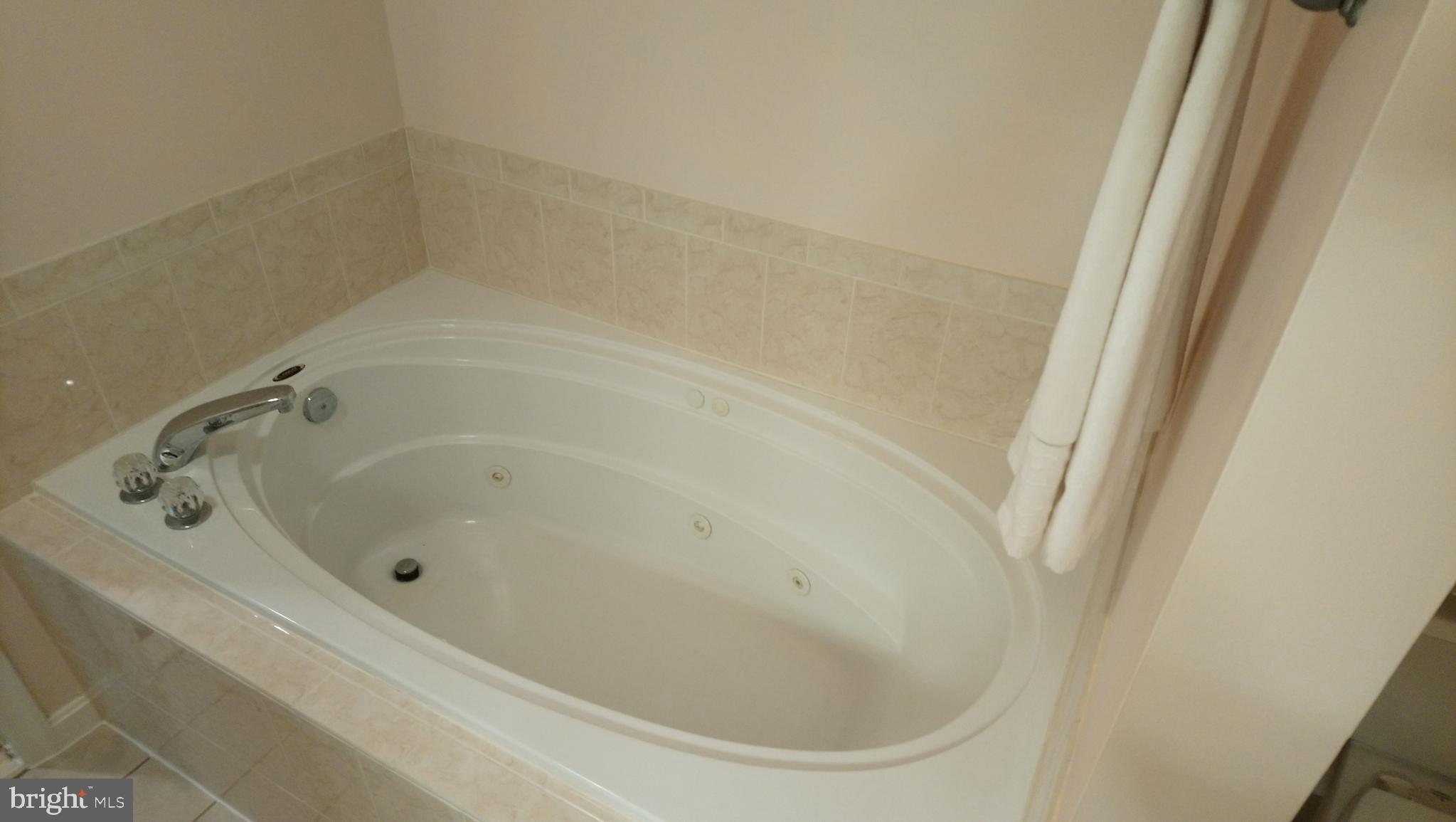 8795 Lowell Road Pomfret, MD 20675 - Photo 49 of 65 In-law suite bath w/ jetted tub