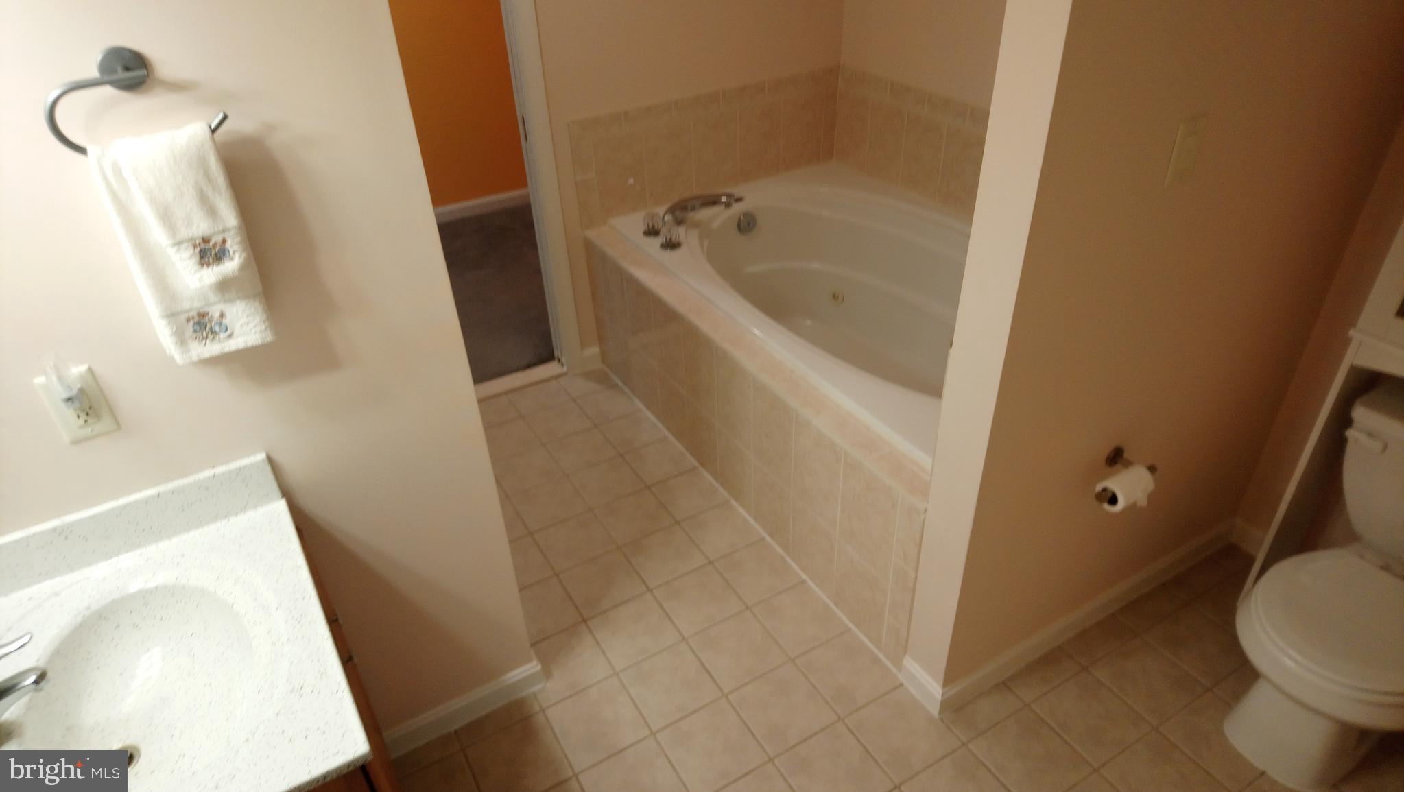 8795 Lowell Road Pomfret, MD 20675 - Photo 50 of 65 In-law suite bath w/ sep shower/deep jetted tub