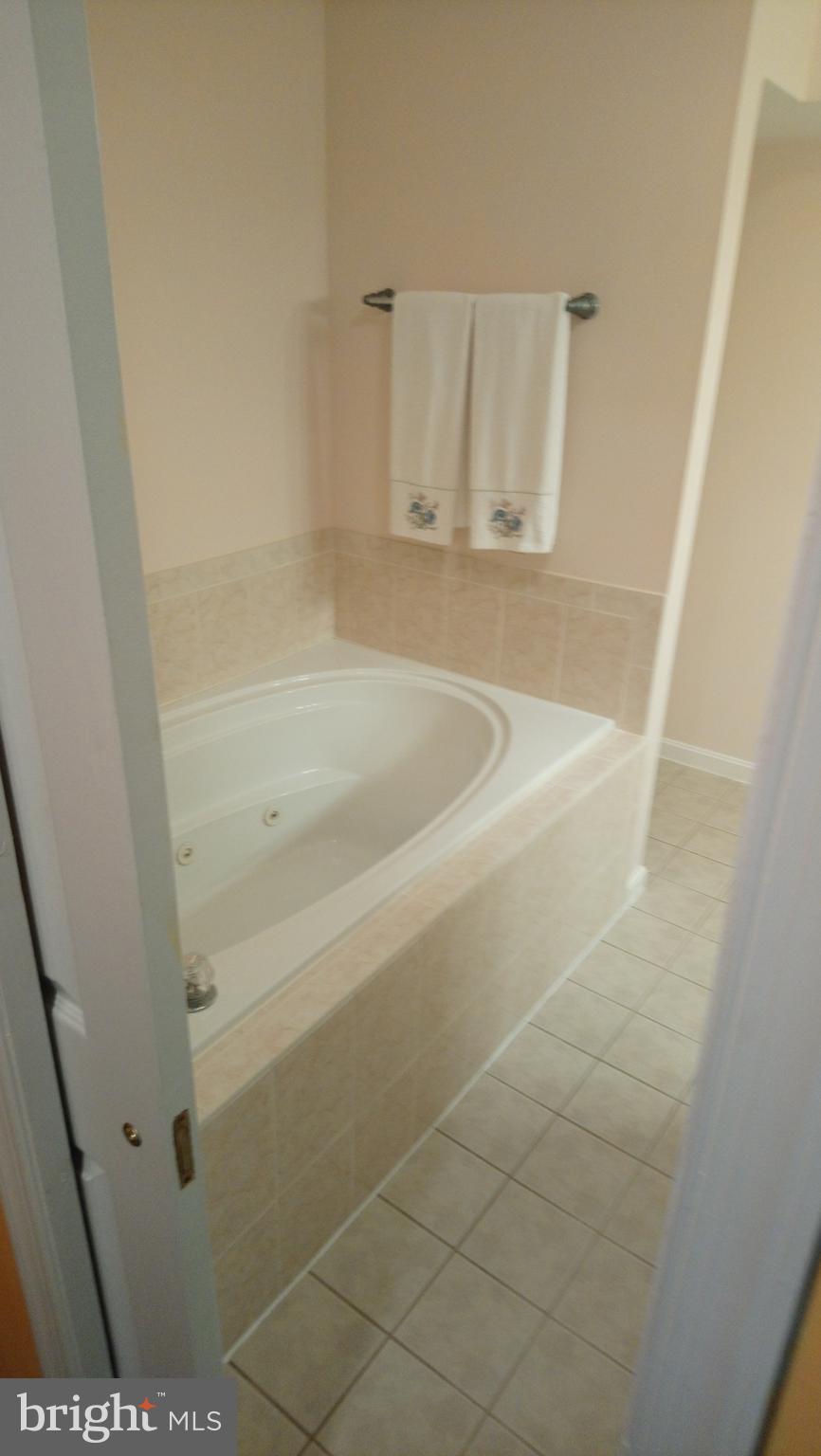 8795 Lowell Road Pomfret, MD 20675 - Photo 51 of 65 In-law suite bath w/ soaking tub