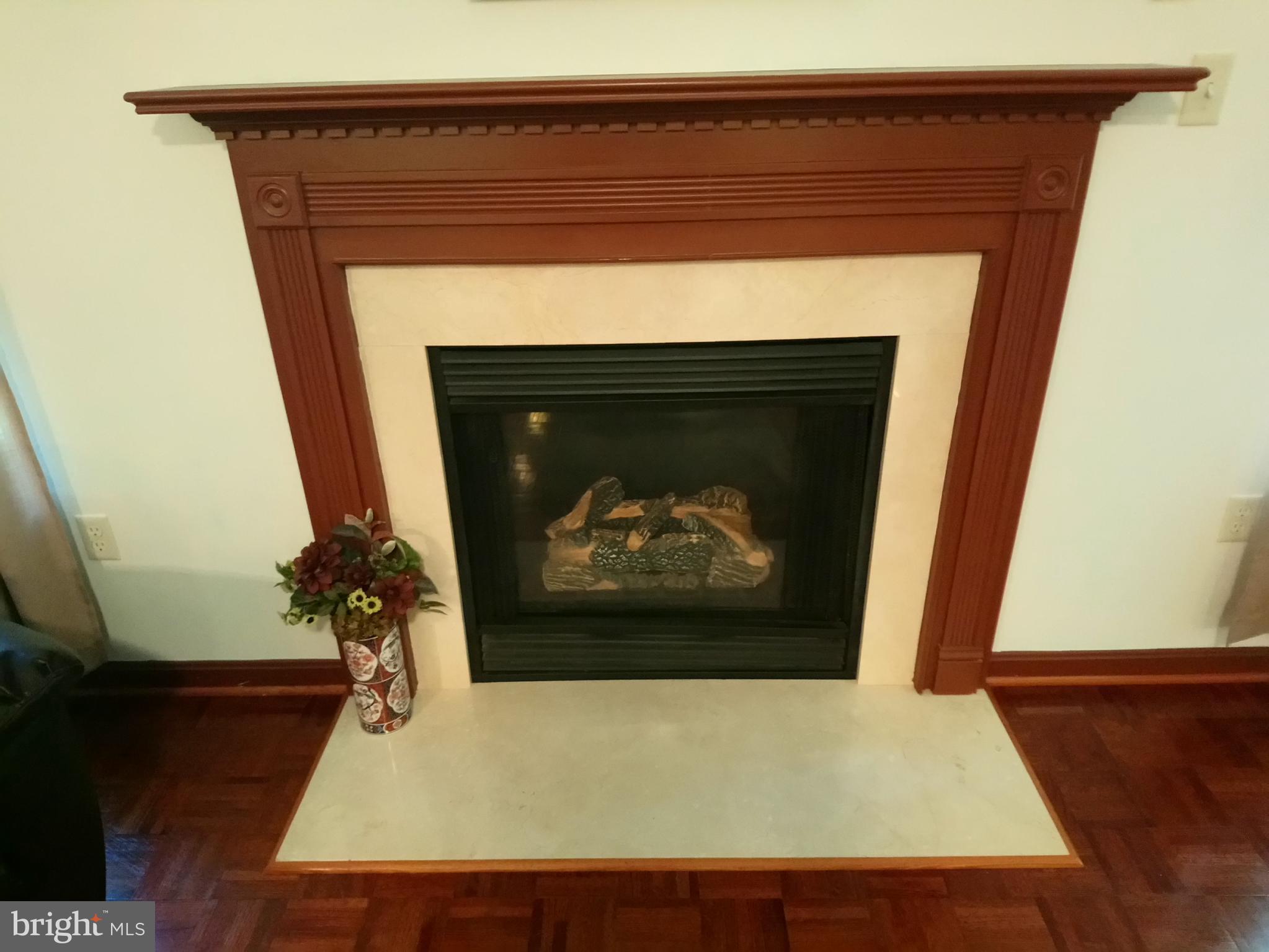 8795 Lowell Road Pomfret, MD 20675 - Photo 7 of 65 Gas fireplace