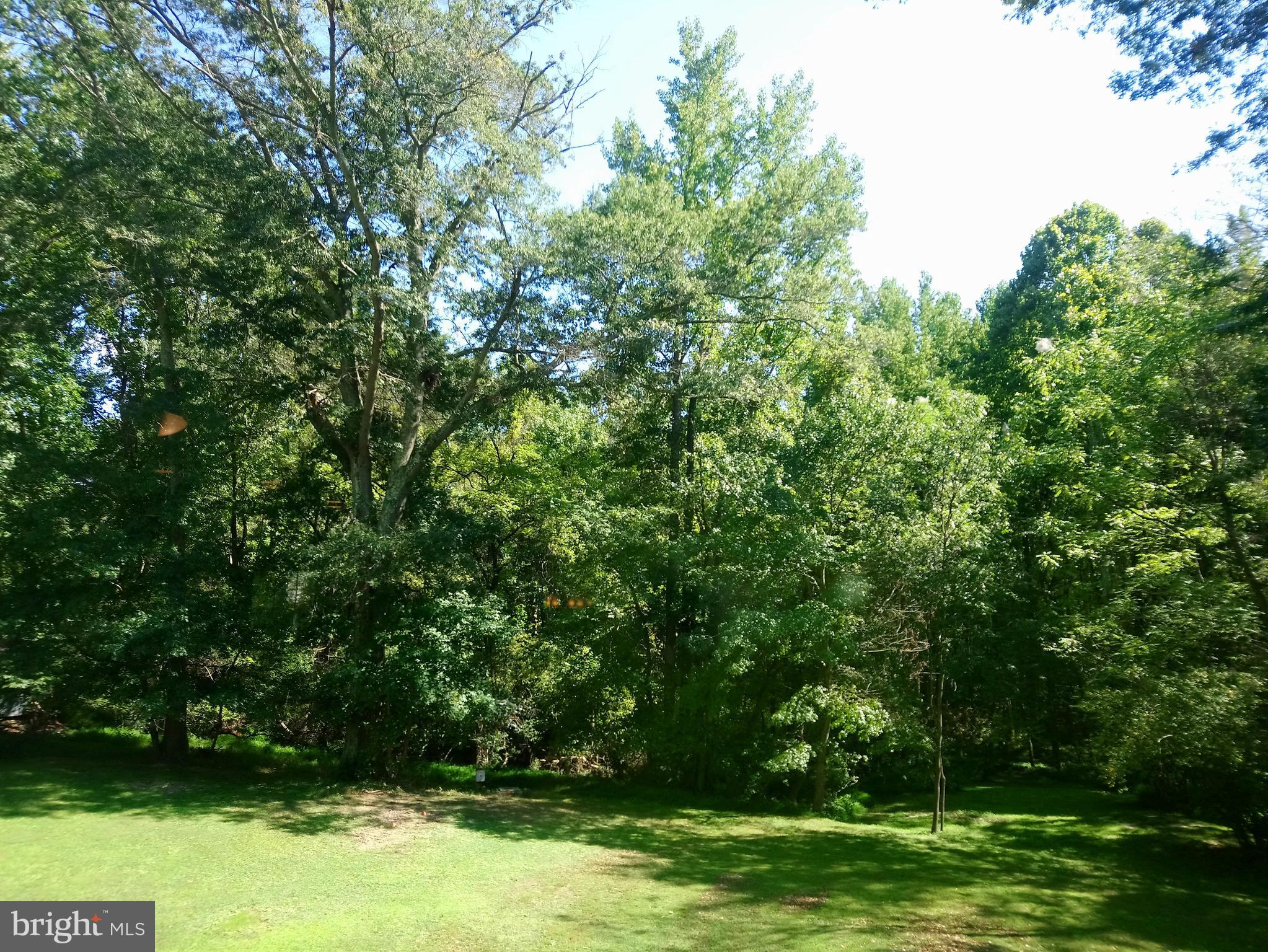 8795 Lowell Road Pomfret, MD 20675 - Photo 60 of 65 Rear yard