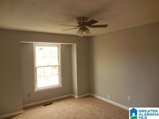 5430 Pine Road Pinson, AL 35126 - Photo 13 of 29