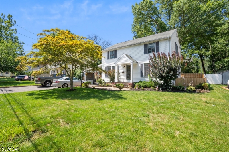 13 Wayne Boulevard Madison, NJ 07940 - Photo 1 of 19 a front view of house with yard and green space