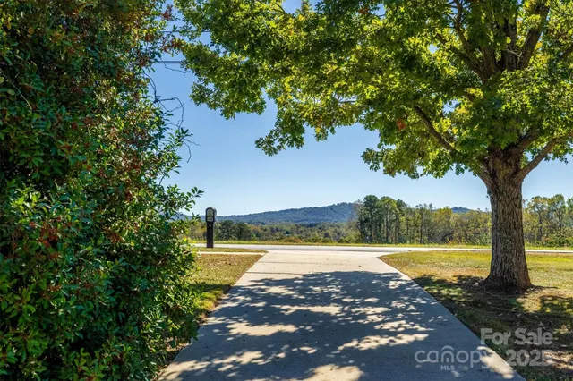 a view of a lake with a large trees