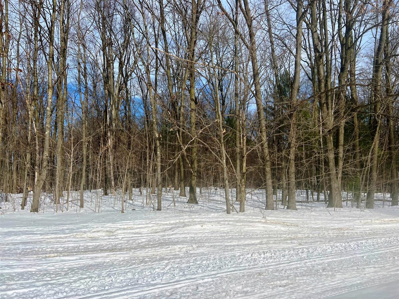 0 West Adams Road Hesperia, MI 49421 - Photo 66 of 74