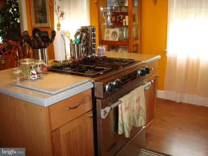 313 Greyhound Road Essex, MD 21221 - Photo 14 of 30 Other #1