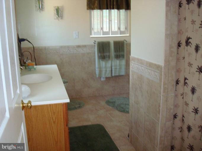 313 Greyhound Road Essex, MD 21221 - Photo 20 of 30 Master Bath