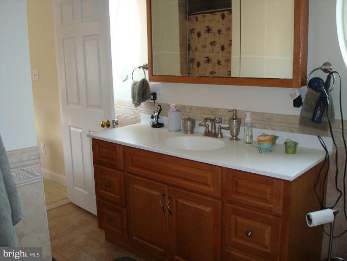 313 Greyhound Road Essex, MD 21221 - Photo 21 of 30 Master Bath #2