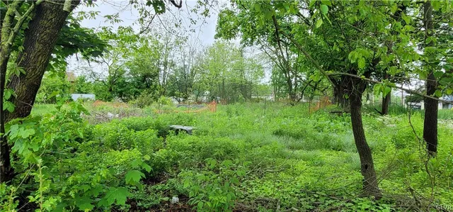 $85,000 | 149 Pleasant Valley Road, Pine Grove, PA 17963