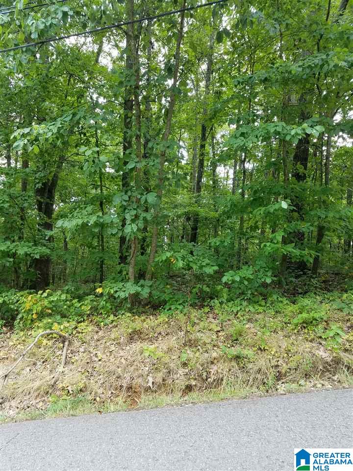Hudson Avenue, Unit 1 Oneonta, AL 35121 - Photo 2 of 2