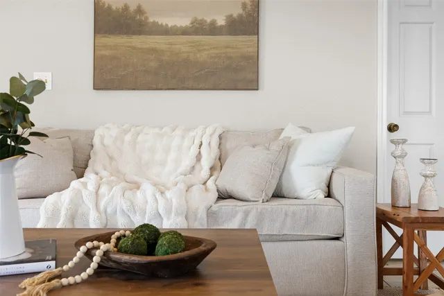 a living room with furniture and a rug