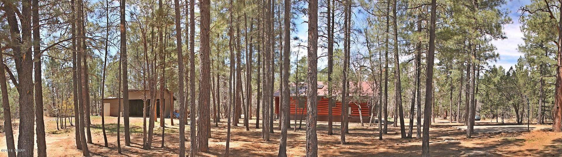 1335 Rim Road Lakeside, AZ 85929 - Photo 35 of 45